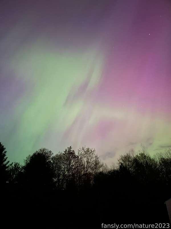 nature2023 image #3