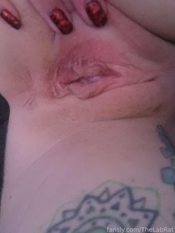 thelabrat image #1