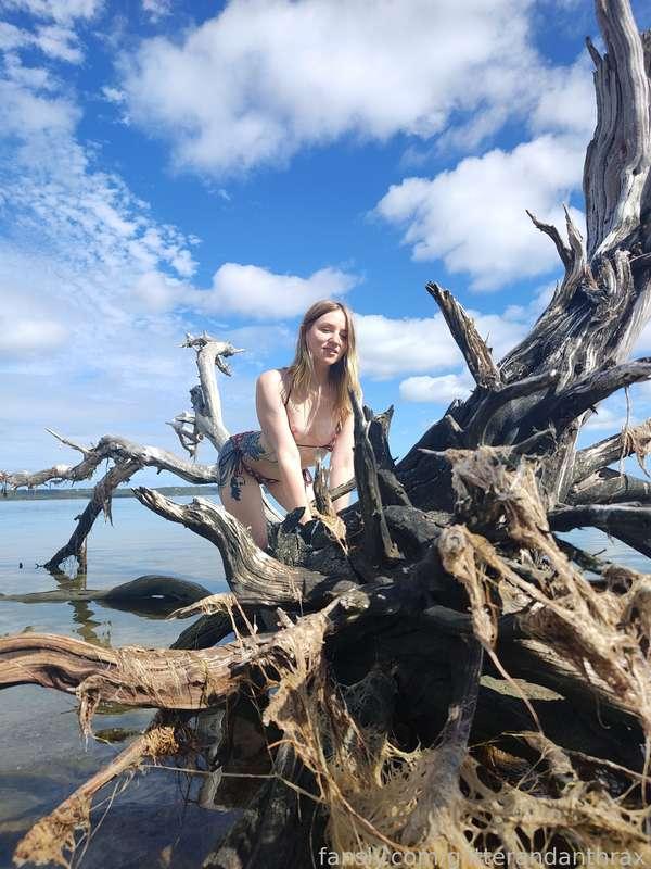 glitterandanthrax image #17