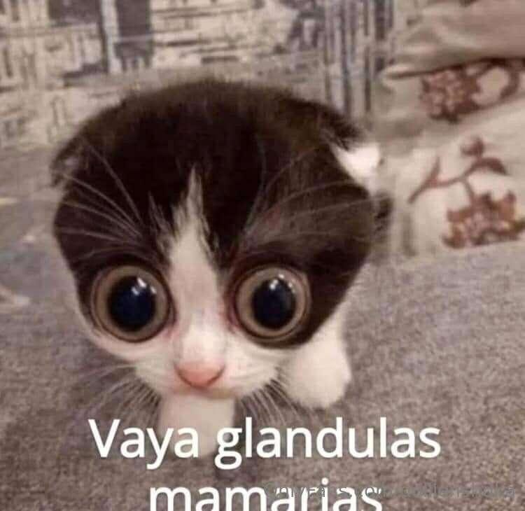 Los que compraron mi mas reciente pack de 🍒