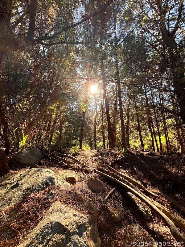 sugar_babe_kat image #6