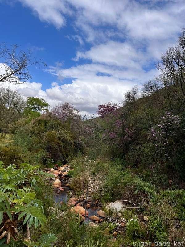 sugar_babe_kat image #18