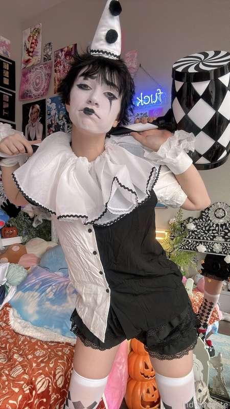 indigowhite image #57