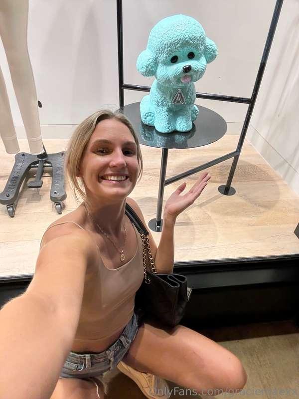 Should I get another puppy? 🐶 😂 