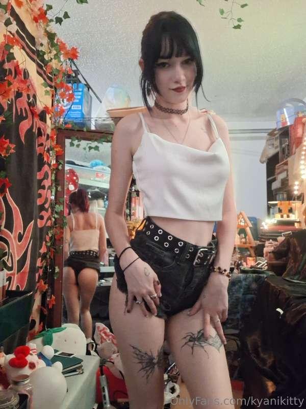 kyanikitty main image