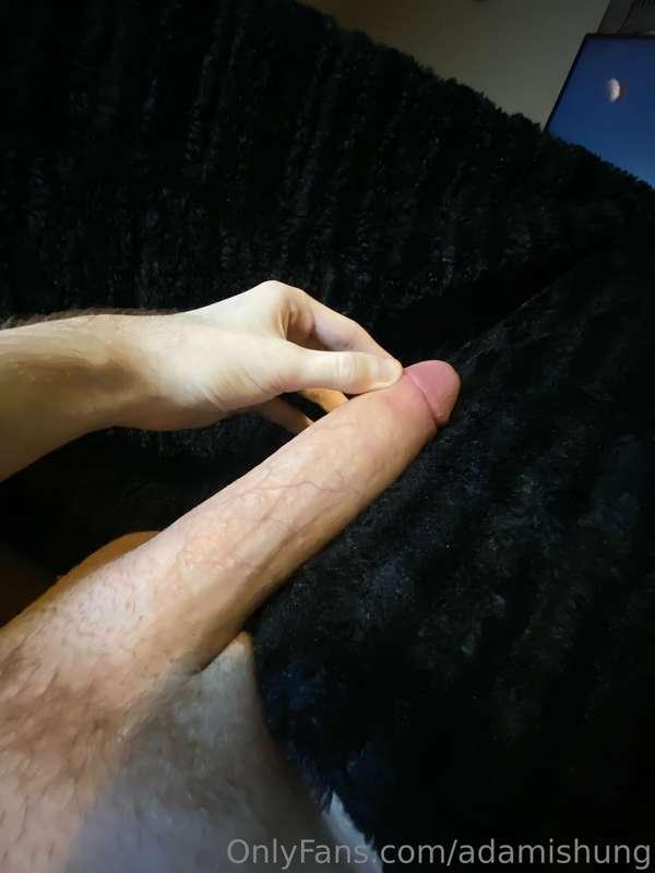 adamishung image #3