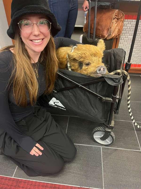 Fun fact: I love farm animals 🐖🐓🐄