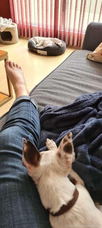 Just chilling with the pets today, how's your day? ❤️