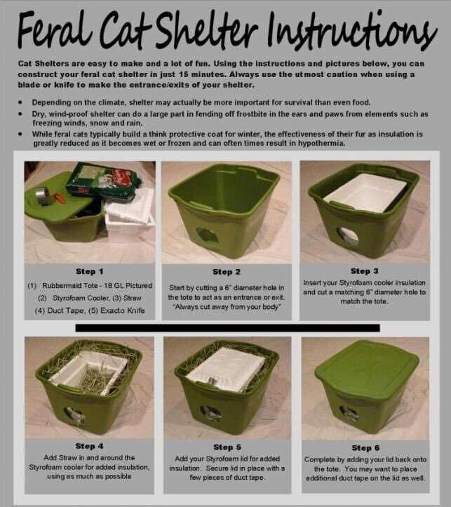 Little sfw reminder since it's cold out! - Knock on your car..