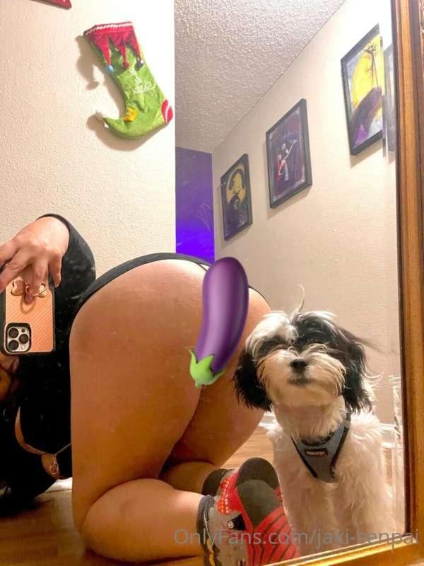 whatchya looking at?