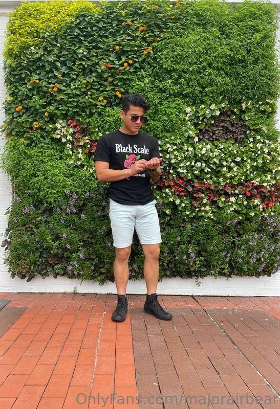 They put plants on the wall 😆