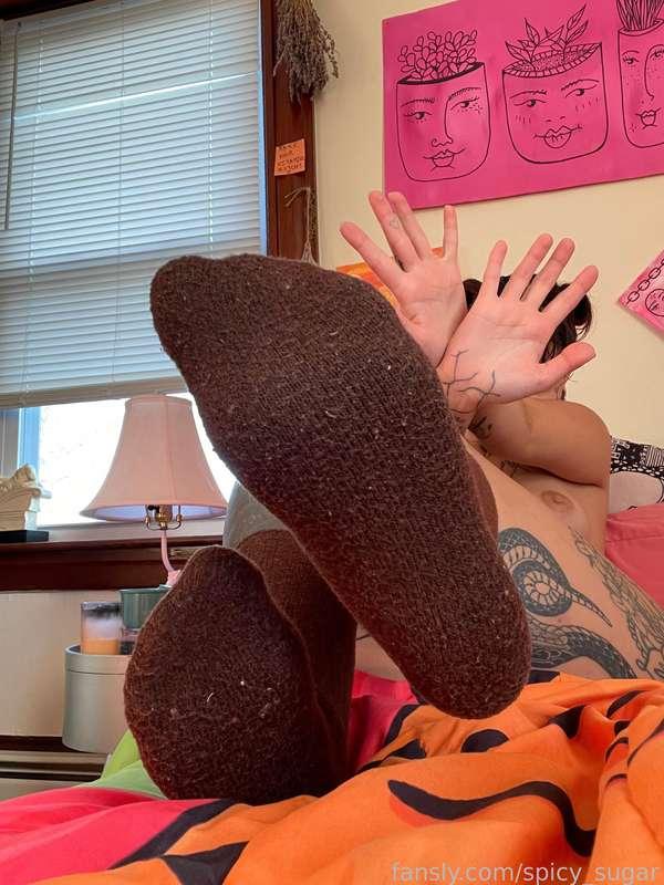 sugarisspicy image #1