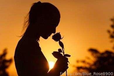 blue_rose8900 image #0