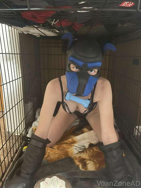 voan_zonead image #0