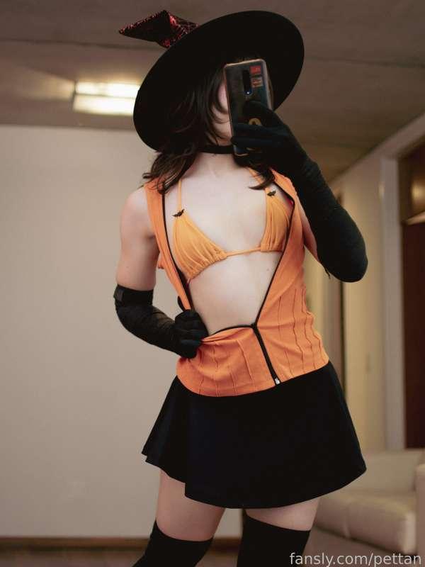 pettan image #6