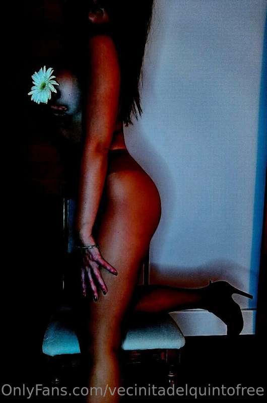 A quién le gustaría quitar la flor?