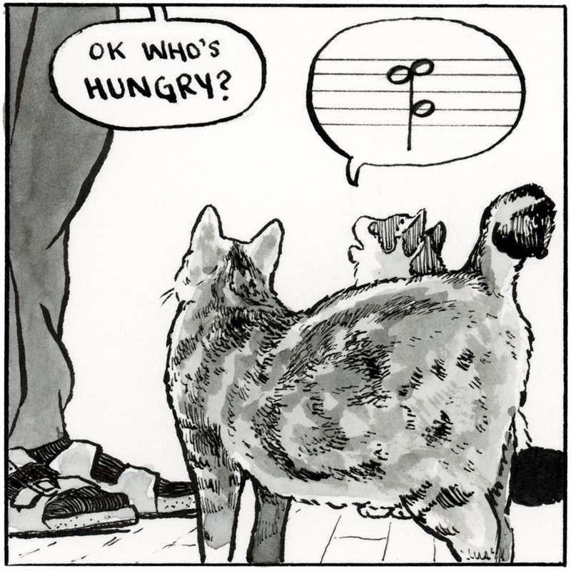 Catsong