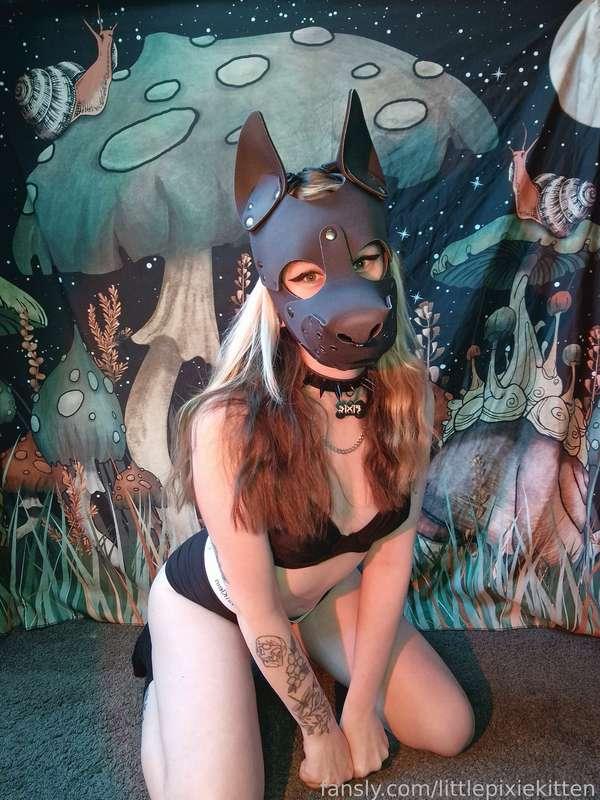 littlepixiekitten image #17