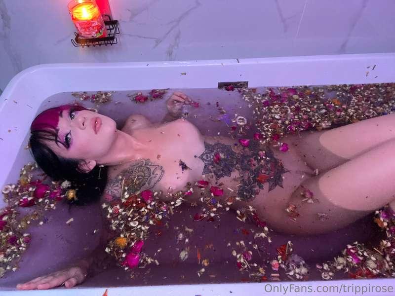 trippirose image #2