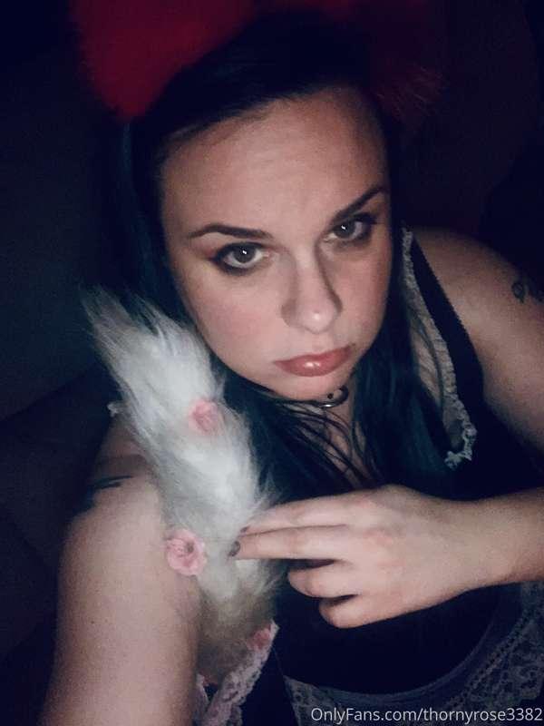 Kitten