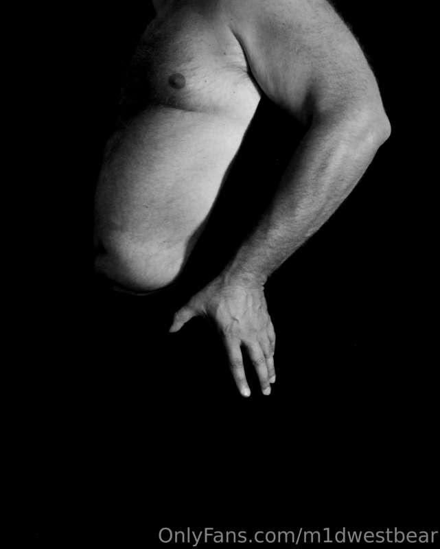 m1dwestbear image #16