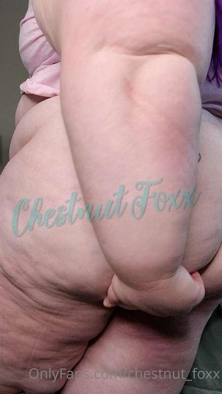 chestnut_foxx image #0