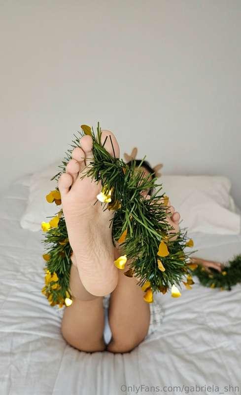 🎄⭐️