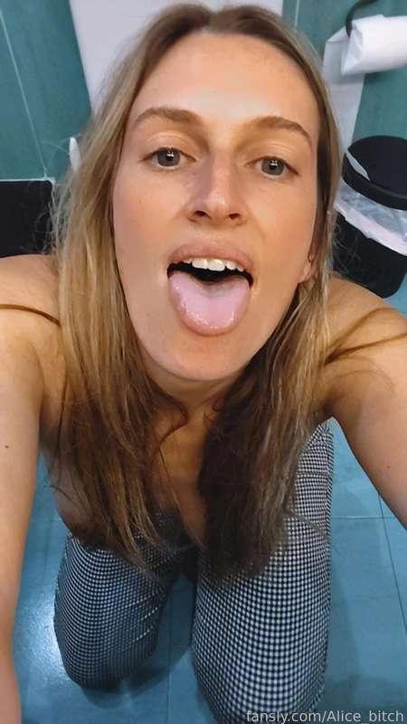 alice_bitch image #1