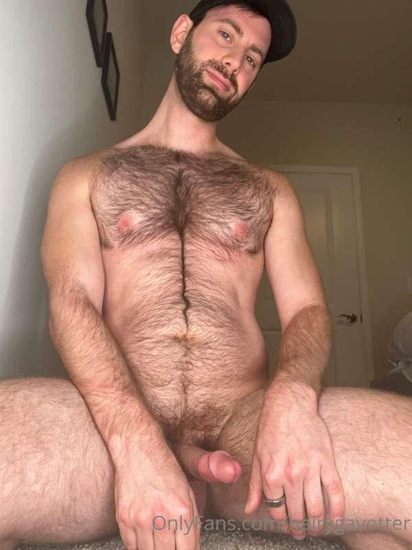 hairygayotter image #1