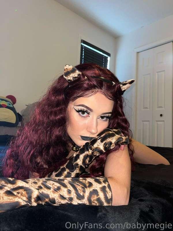 ashleyhxll main image