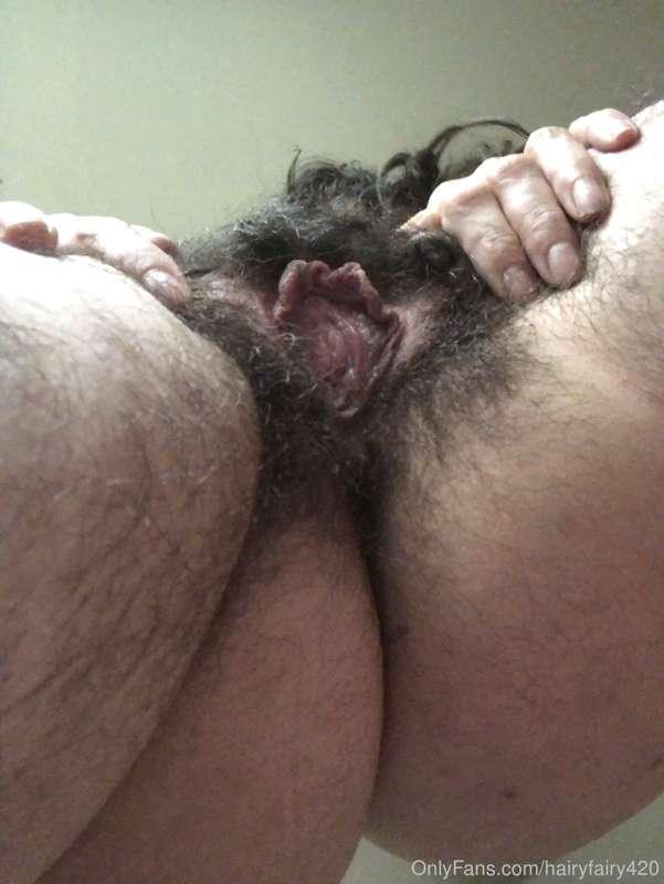 hairyfairy420 image #1