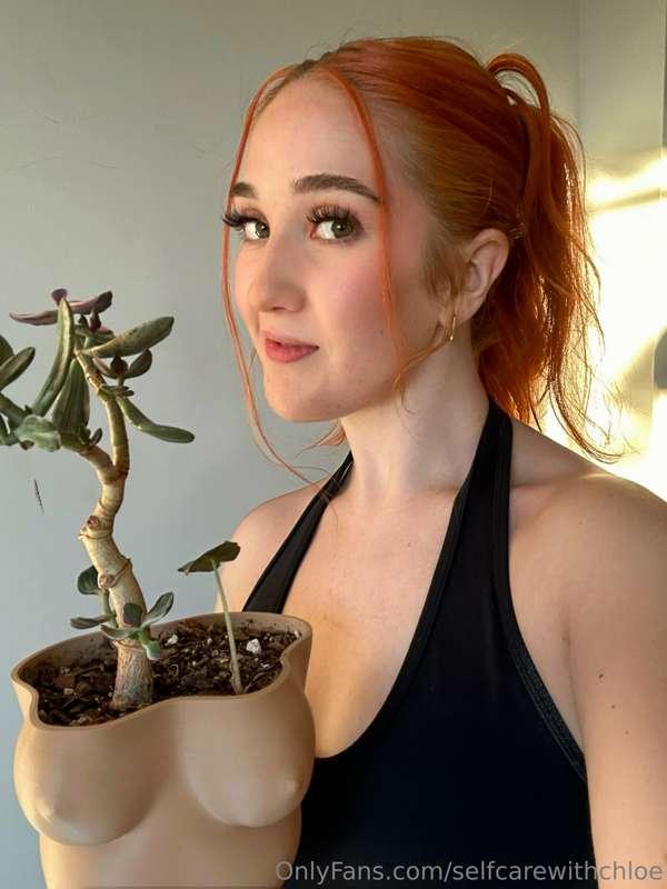 Isn’t this plant so cute!