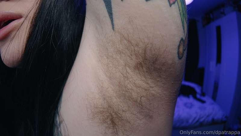 dpatrappa image #20