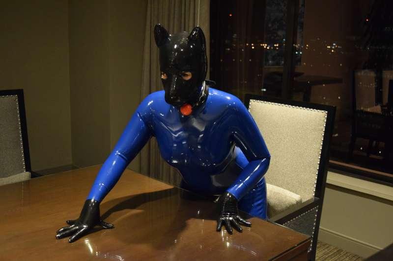 049 - Blue Pup (Full HD)