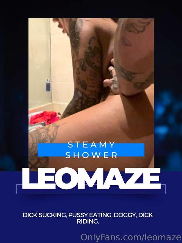 leomaze main image