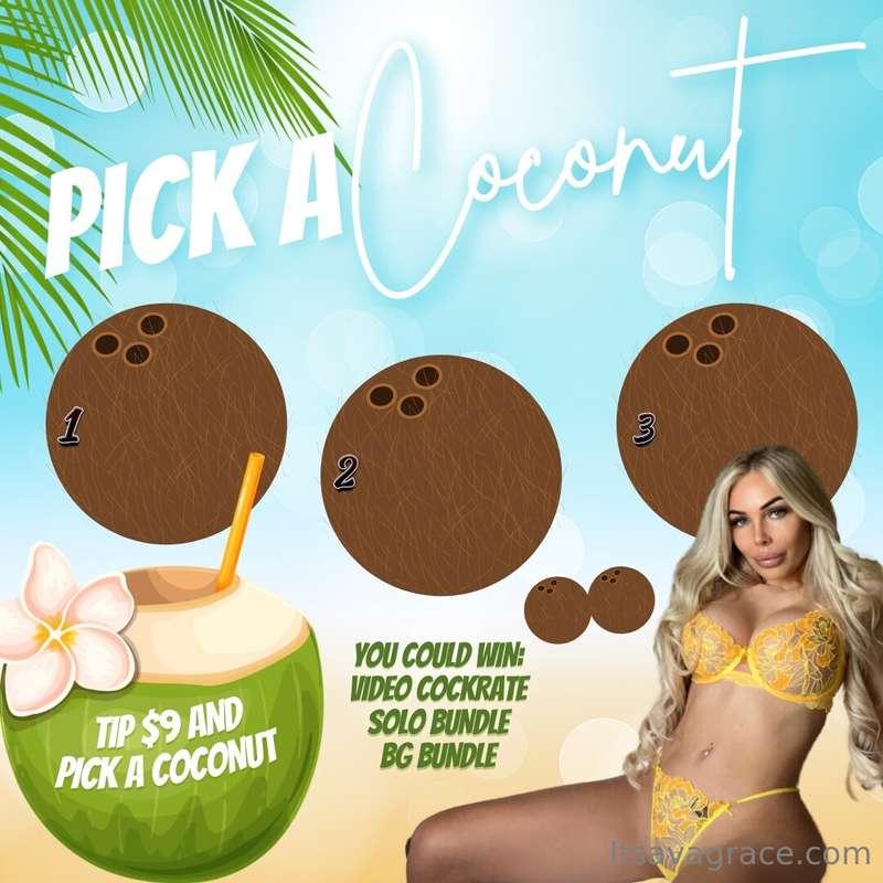 🥥🌴 GRAB MY COCONUTS - NEW GAME 🌴 🥥Hey babe, so summer is her..