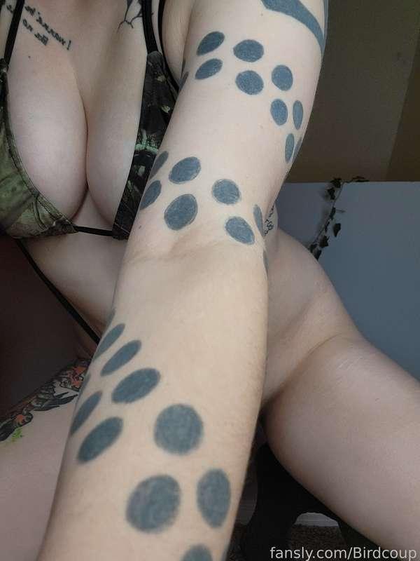 coophound image #1