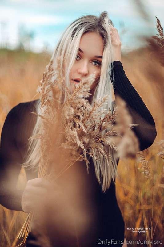 Ein Bett im Kornfeld ...