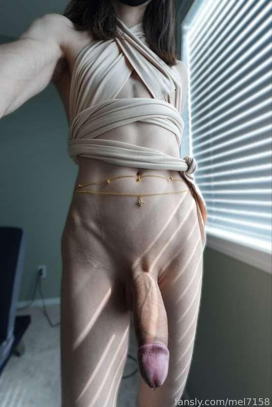 mel7158 image #6