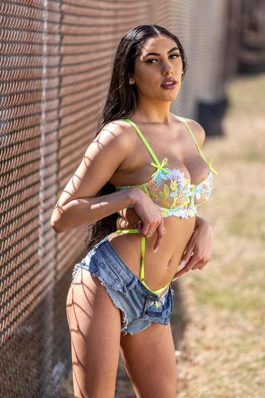 Fenced In