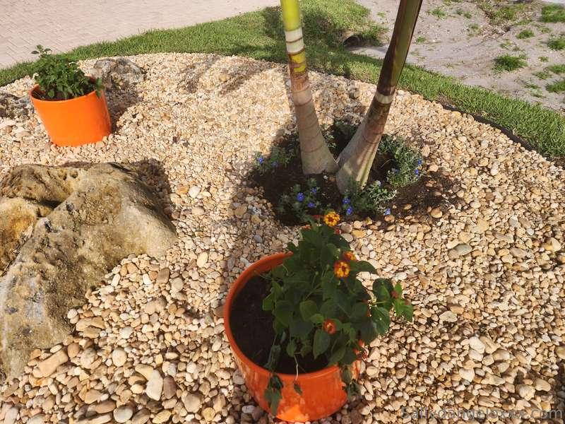 sallydangeloxxx image #1