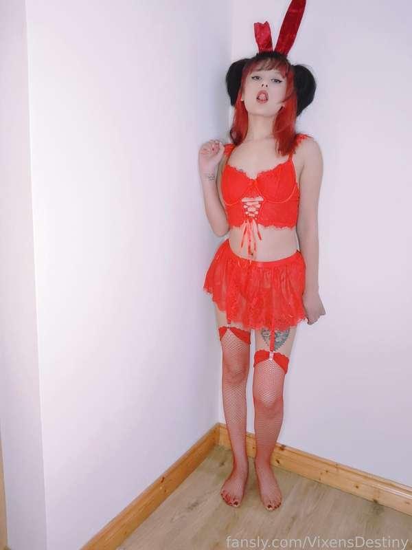 vixensdestiny image #3