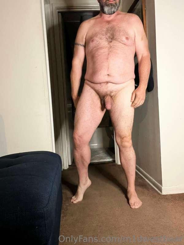 m1dwestbear image #0