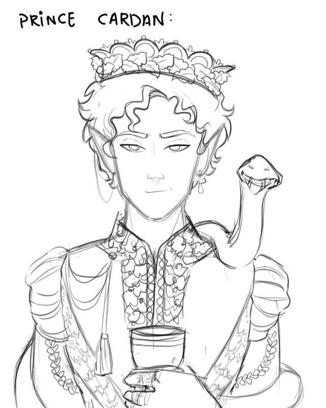 Cardan sketch