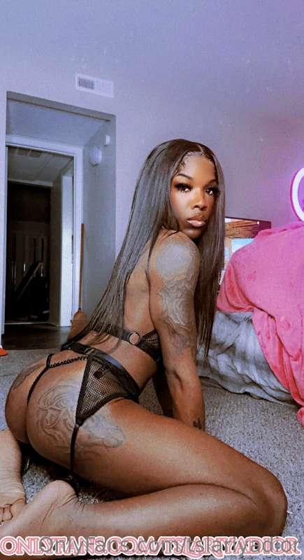 tslariyadior image #0