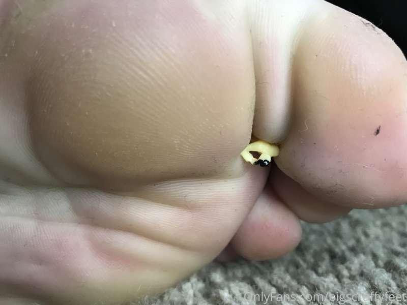 Some macro post-live for ya bugs 😁