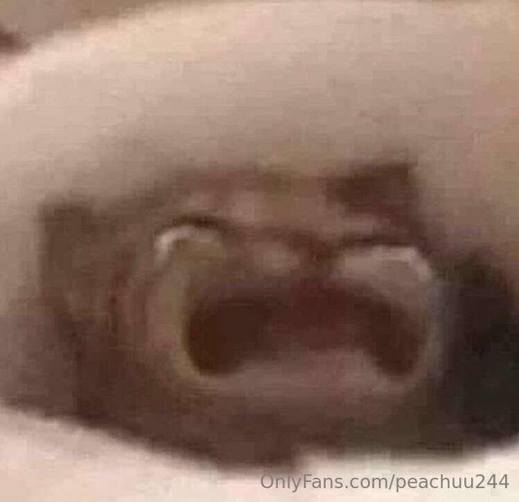 peachuu244 image #0