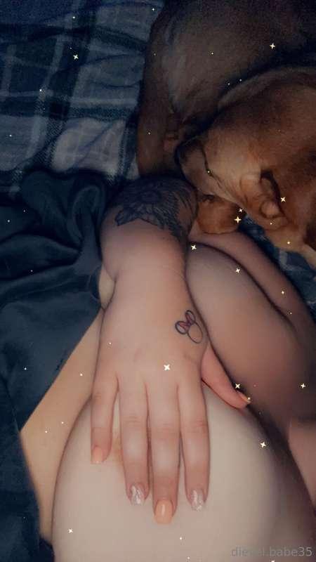 Movie night with the pups, replying to messages, then bed ti..