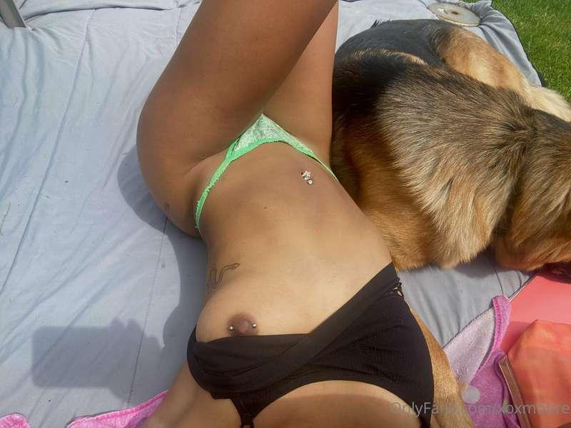 puppy likes to cuddle in the sun
