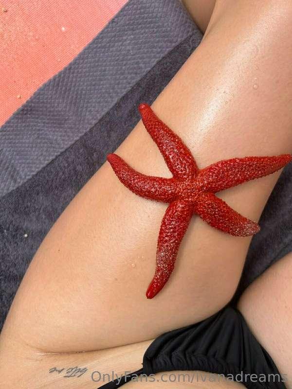 A wild strawberry seastar caught between my legs 🤣